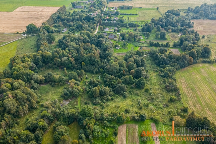 akorus.lt - sklype miškas, ribojasi su upe