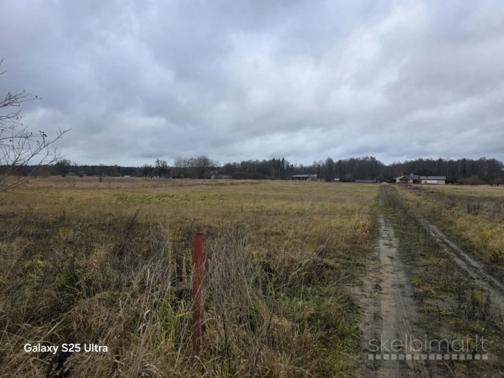 PARDUODAMAS ŽEMĖS SKLYPAS MAŽEIKIŲ R., REIVYČIŲ K., FALSBERGO G. 5K.