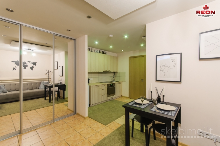 JAUKUS STUDIO TIPO BUTAS PUIKIOJE VIETOJE, SENAMIESTYJE, K. VANAGĖLIO G.