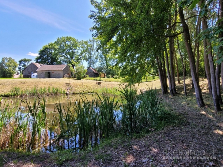 PARDUODAMA SODYBA SU DIDELIU SKLYPU IR ŪKINIAIS PASTATAIS KYBARTUOSE!
