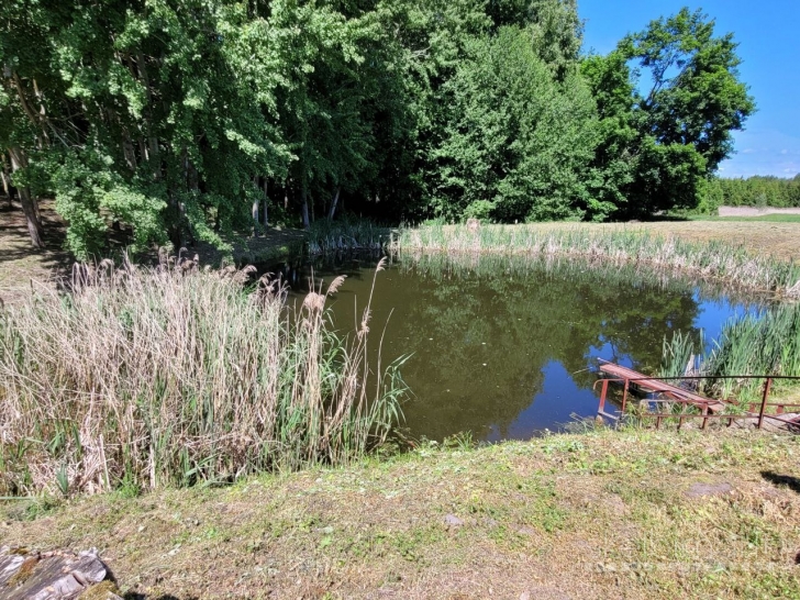 PARDUODAMA SODYBA SU DIDELIU SKLYPU IR ŪKINIAIS PASTATAIS KYBARTUOSE!