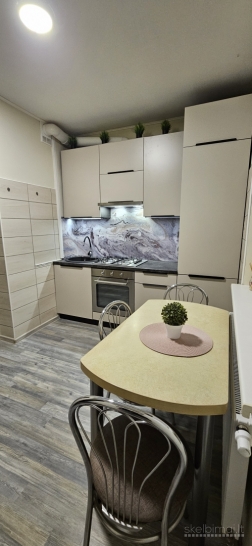 Išnuomojamas 1kamb. su holu butas