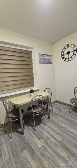 Išnuomojamas 1kamb. su holu butas