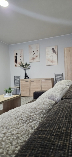 Išnuomojamas 1kamb. su holu butas