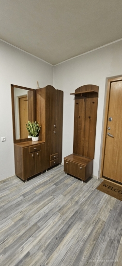 Išnuomojamas 1kamb. su holu butas