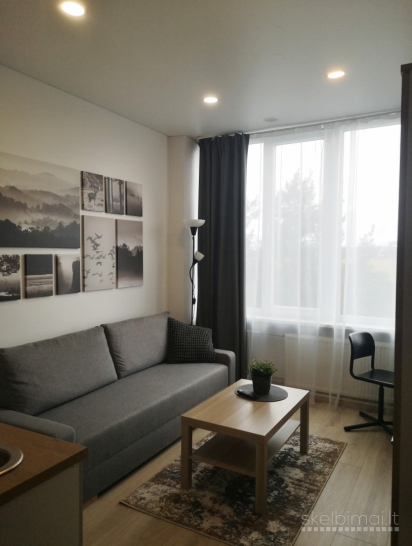 Išnuomojamas 1 kambario butas, su baldais ir buitine technika