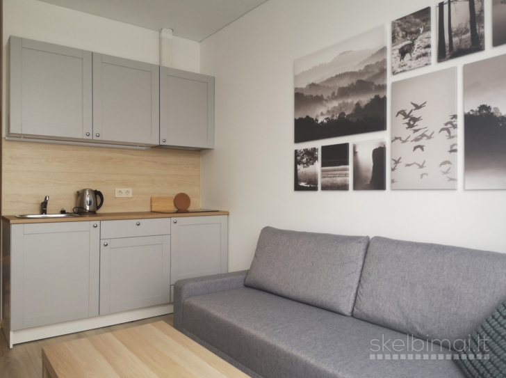 Išnuomojamas 1 kambario butas, su baldais ir buitine technika