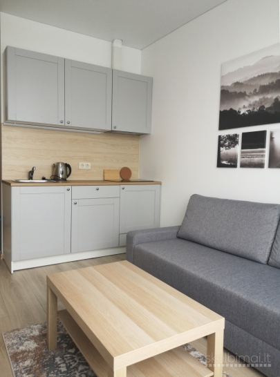 Išnuomojamas 1 kambario butas, su baldais ir buitine technika