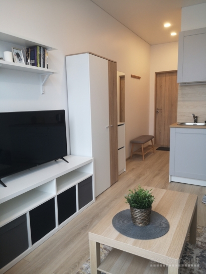 Išnuomojamas 1 kambario butas, su baldais ir buitine technika