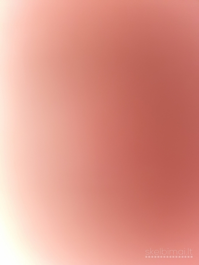 MERGINOS MOTERS PAREMSIU +37064087195