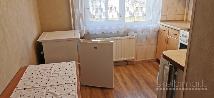 vieno kambario butas Panevėžio m.