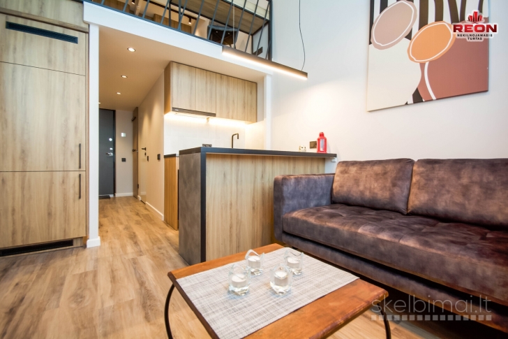 NUOMOJAMAS NAUJAS, PILNAI ĮRENGTAS LOFTAS NAUJAMIESTYJE.