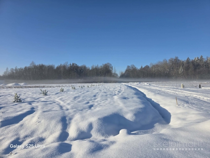 PAVENČIŲ G. PABAIGOJE, LAURŲ KVARTALE, MAŽEIKIUOSE PARDUODAMI 10 A. SKLYPAI