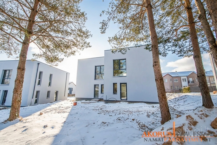 akorus.lt - Miesto tinklai, akligatvis, pušys sklype