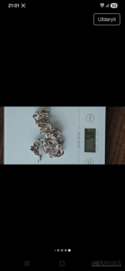 Sidabrinė grandinėlė