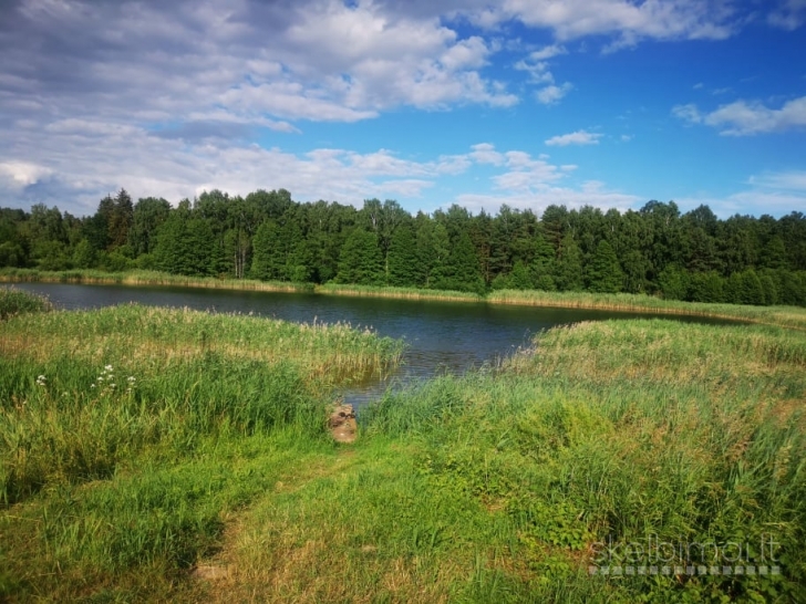 Parduodamas SB „Putinas“, Tulpių g.11, Daukniškių k., Panevėžio raj. 
