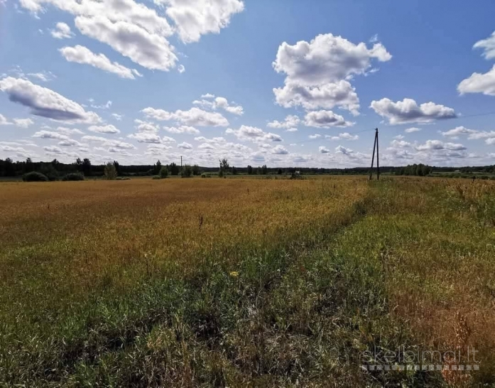 6.5ha žemės ūkio sklypas