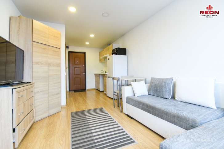 Nuomojamas tvarkingas ir šviesus 1 kambario butas Šnipiškėse