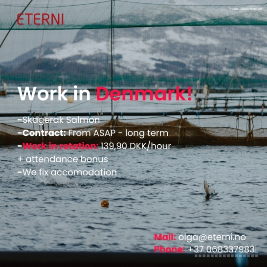 Darbas Danijoje žuvies fabrike