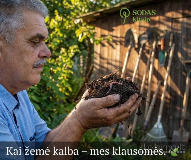 Substratas daigams | Sėjimui ir pikavimui