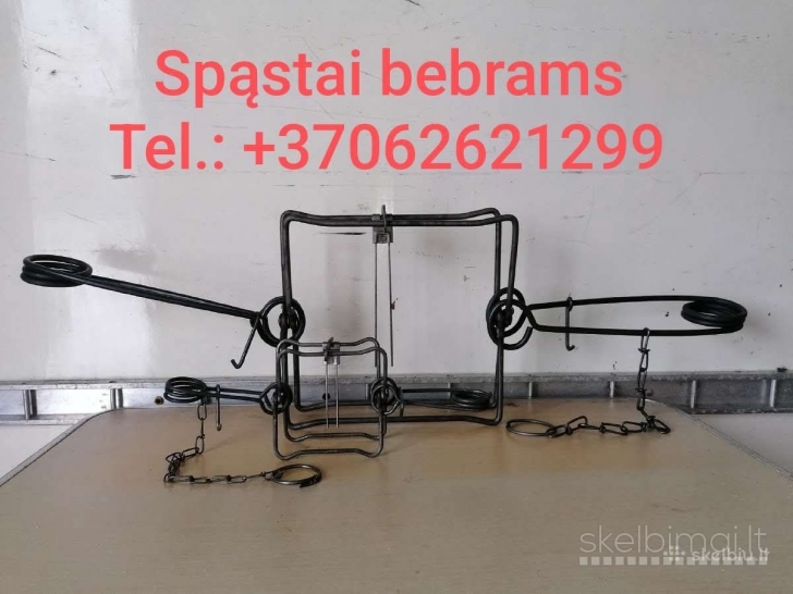 SPASTAI BEBRAMS +37062621299