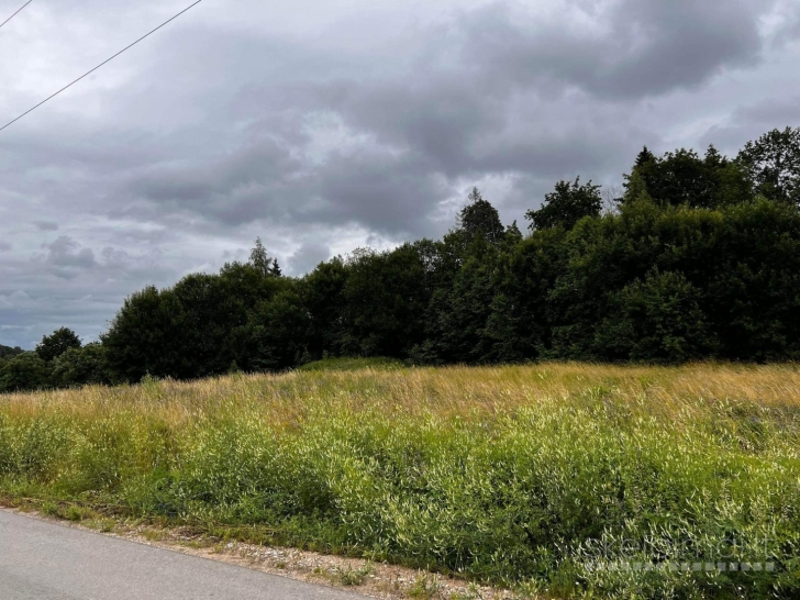 Parduodamas žemės sklypas Ignalinos rajone