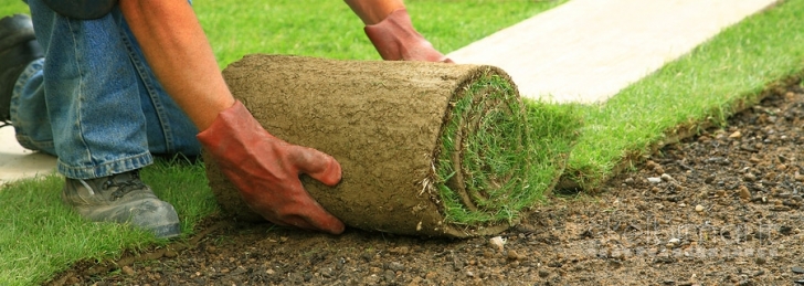 Vejos irengimas,ruloninė veja, vejos prieziura, gerbuvio tvarkymas