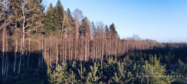 Sodybos, pirties, kubilo nuoma