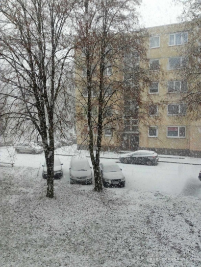 dviejų kambarių butas