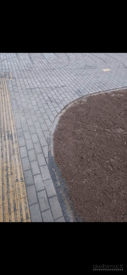 Trinkelės,gerbūvis.