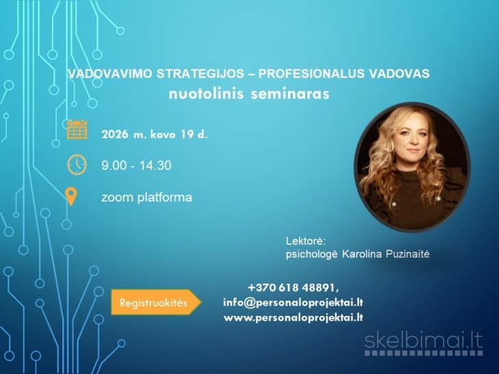 Vadovavimo strategijos - profesionalus vadovas