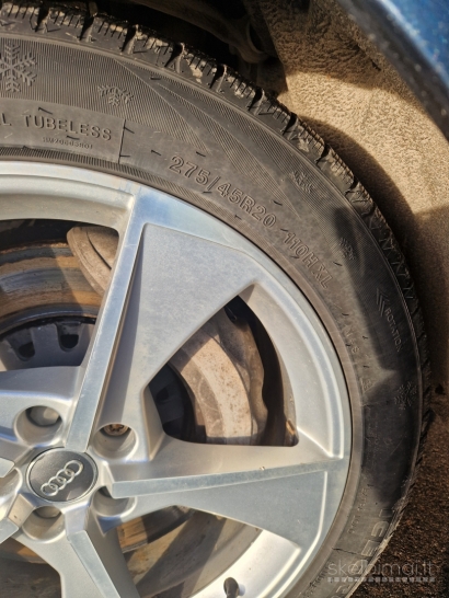 audi Q7 etron dyzelis / elektra