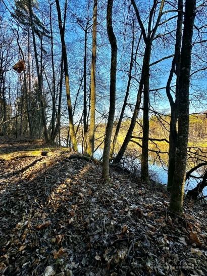 Sklypas ant Nemuno kranto – Sudvajų k., Alytaus r.