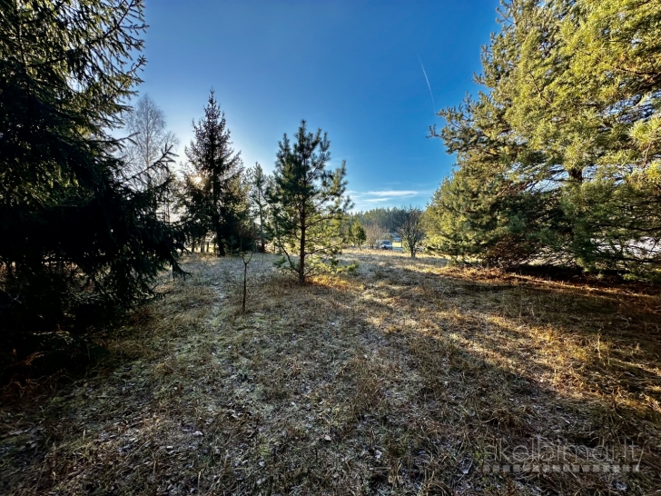 Sklypas ant Nemuno kranto – Sudvajų k., Alytaus r.