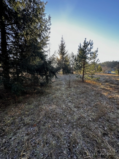 Sklypas ant Nemuno kranto – Sudvajų k., Alytaus r.