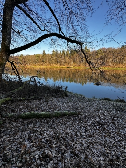 Sklypas ant Nemuno kranto – Sudvajų k., Alytaus r.