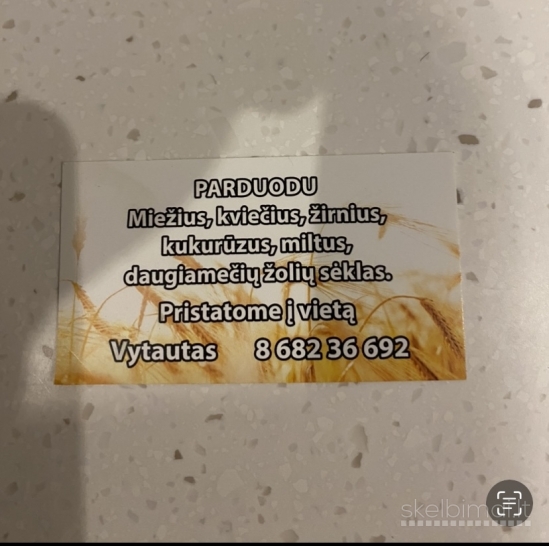 mieziai kvieciai kukuruzai 