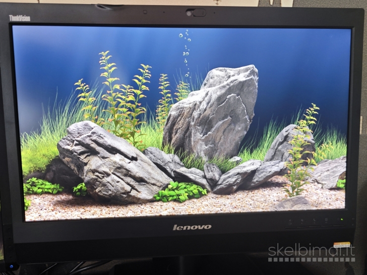 Monitorius Lenovo ThinkVision LT2323zwC