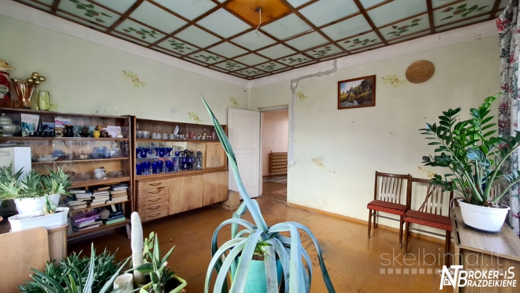 Puikus namas, taisyklingas sklypas