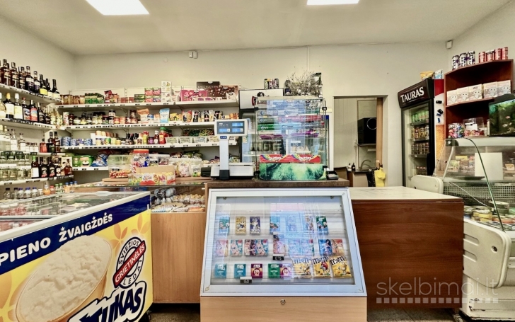 PARDUODAMOS 42.20 KV.M. PLOTO PATALPOS SU 1 ARO SKLYPO DALIMI