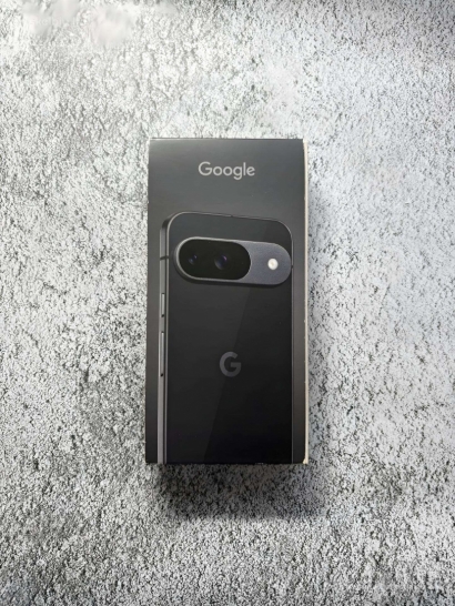 Google Pixel 9 l Naujas