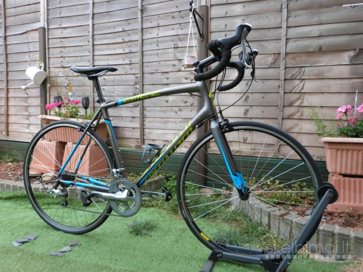 SPECIALIZED Allez Elite Road Bike.700C wheels.Carbon fork.9kg.58cm.Large frame.