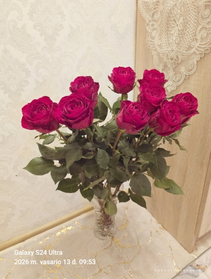 MALONŪS LAISVALAIKIO PRALEIDIMAI 