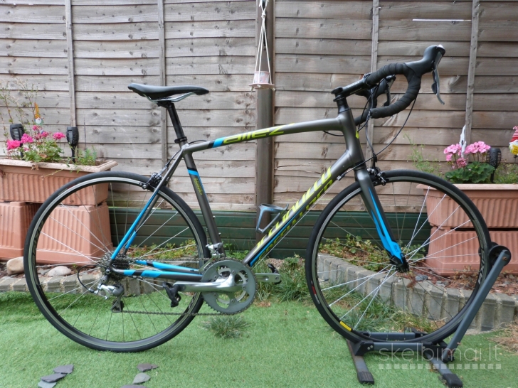 SPECIALIZED Allez Elite Road Bike. 700C. Carbon fork. 9kg. 58cm. Super stovis.