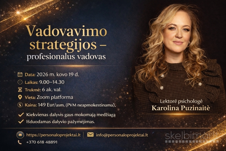 Vadovavimo strategijos - profesionalus vadovas