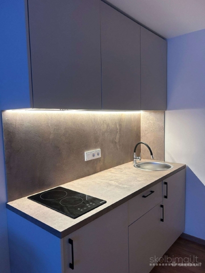 Nuomojamas 1 Kamb. Butas (Nemuno g. 12 Panevėžys)