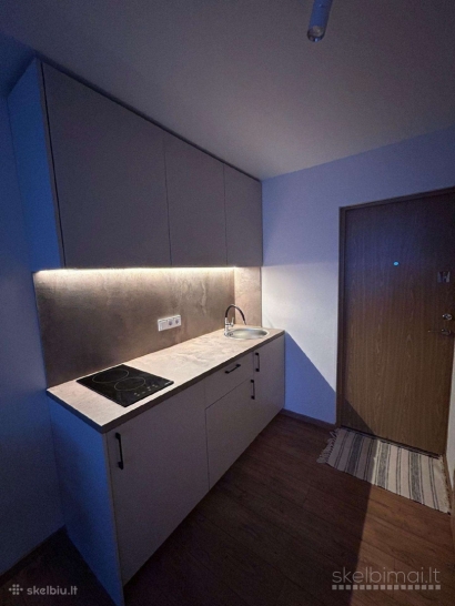 Nuomojamas 1 Kamb. Butas (Nemuno g. 12 Panevėžys)