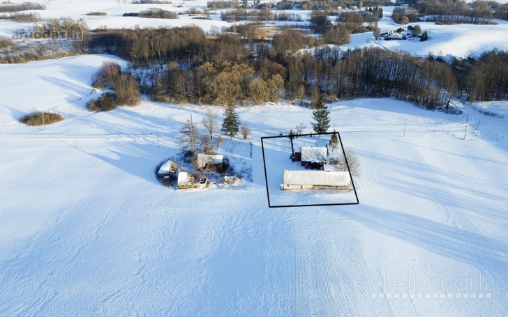 Vilkaviškio r. sav., Trilaukio k., Vienkiemių g., rąstinis namas