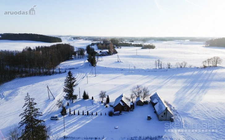 Vilkaviškio r. sav., Trilaukio k., Vienkiemių g., rąstinis namas