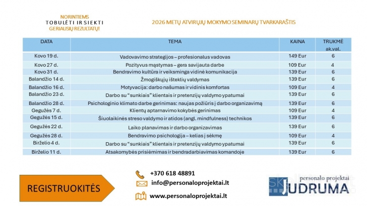 Vadovavimo strategijos - profesionalus vadovas